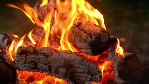 Seamless loop of bright campfire flames burning intensely on wood logs Stock Footage 341682861