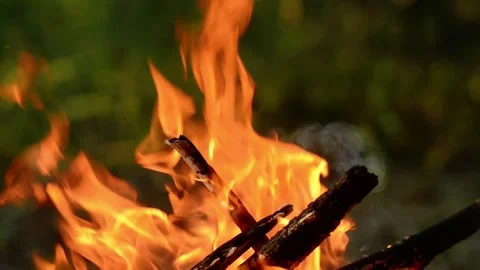Seamless loop of bright campfire flames burning wood close up Stock Footage 343216662