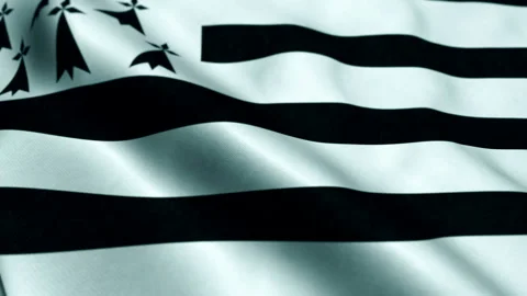 Seamless loop of Brittany regional state flag Video stock 210590932