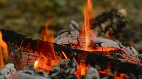 Seamless loop of burning campfire logs and bright flames Stock Footage 343216002