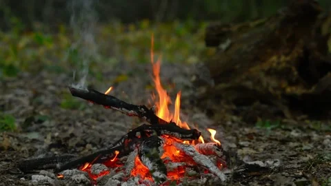 Seamless loop of a burning wood log in an outdoor campfire Video stock 343215917