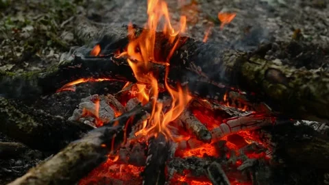 Seamless loop of burning wood logs and glowing campfire embers Stock-Footage 343219235