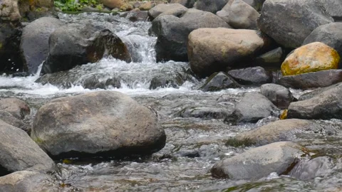 Seamless loop of calm clear water flowing between mossy river stones Video stock 338237851
