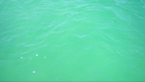 Seamless loop, calm water surface background - HD video Stock Footage 73663833