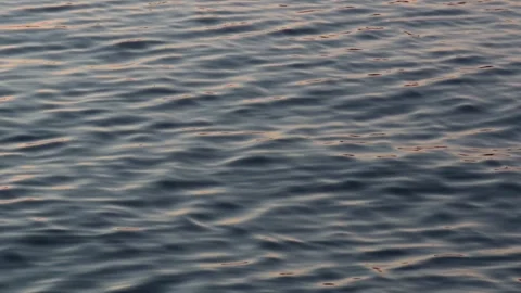 Seamless loop calm water surface with gentle ripples at sunset. Stock Footage 319922310
