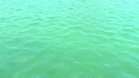Seamless Loop of Calming Azure Water Waves Rippling in Sunlight Stock Footage 334469626