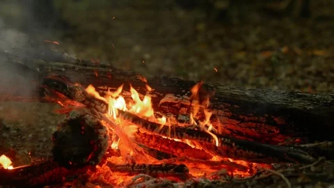 Seamless Loop Campfire with ASMR Sound Crackling Fire 库存影片 342256026