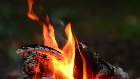 Seamless Loop Campfire Burning with Bright Flames ASMR Sound 库存影片 342099117