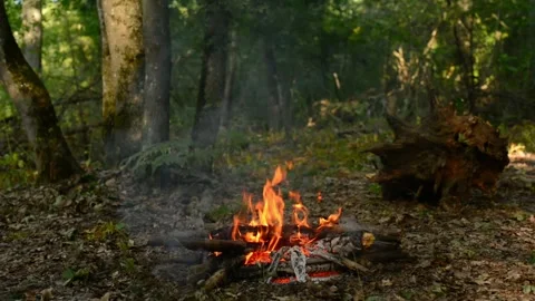 Seamless loop of a campfire burning in the dark woods Stock-Footage 343216068