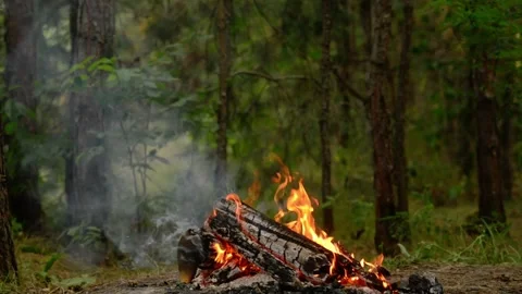 Seamless Loop of Campfire Burning in Forest with Real Sound Stock Footage 342504425