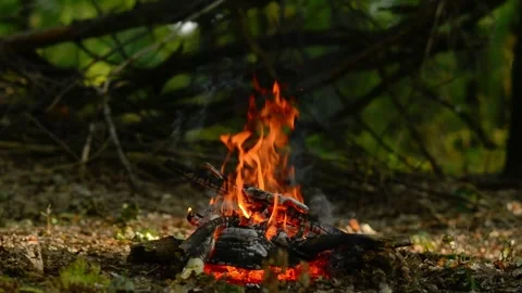 Seamless loop of a campfire burning on a forest path Stock Footage 343216012