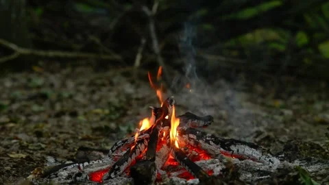 Seamless loop of a campfire burning in the woods close up Stock Footage 343216746