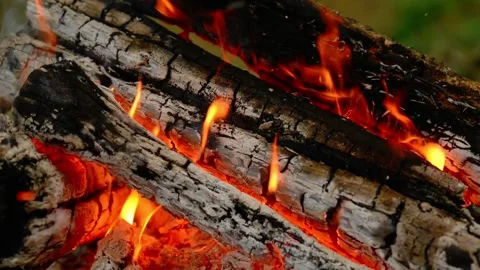 Seamless Loop of Campfire Coals Burning in Forest with Real Sound 動画素材 342504266