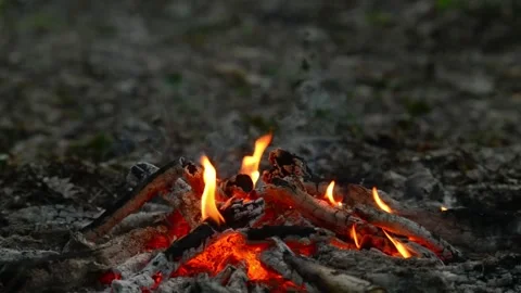 Seamless loop of campfire embers and flames on the ground Video stock 343216040
