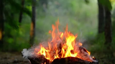 Seamless Loop of Campfire Flames and Smoke 库存影片 342120434