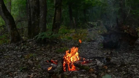 Seamless loop of campfire wood and smoldering embers on the ground Video stock 343215836