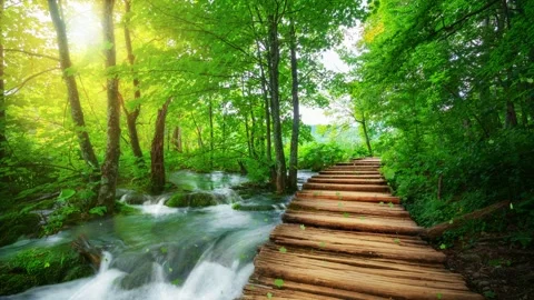 Seamless Loop Cinemagraph video of autumn wooden path in Plitvice Lake, Croatia Stock Footage 157755894
