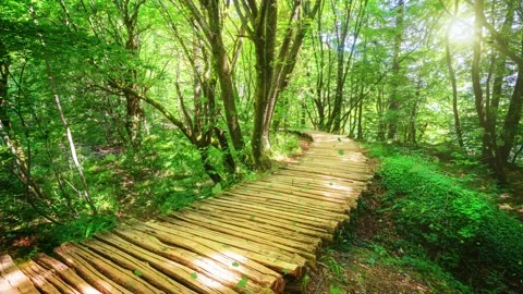 Seamless Loop Cinemagraph video of autumn wooden path in Plitvice Lake, Croatia Stock Footage 158061294