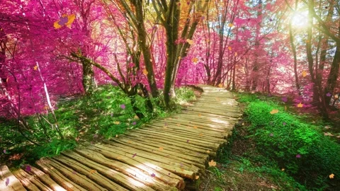 Seamless Loop Cinemagraph video of autumn wooden path in Plitvice Lake, Croatia Stock Footage 158585905
