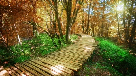 Seamless Loop Cinemagraph video of autumn wooden path in Plitvice Lake, Croatia Stock Footage 159439825