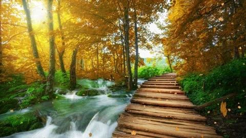 Seamless Loop Cinemagraph video of autumn wooden path in Plitvice Lake, Croatia Stock Footage 159441526