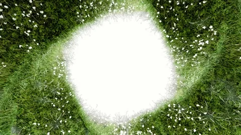 Seamless Loop of Circular Floral Meadow with Green Grass and White Blossoms Video stock 313108445