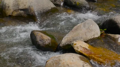 Seamless Loop of Clear Gentle Stream Between Mountain Rocks Stock Footage 321532521