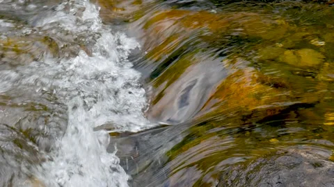 Seamless Loop of Clear Stream Water With Soft Bubbles Over Stones Video stock 338237965