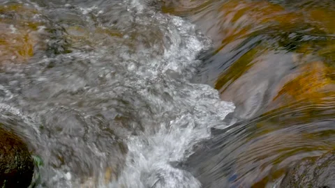 Seamless Loop of Clear Stream Water With Calm Bubbles and Stones Video stock 338237991