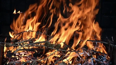 Seamless loop, close up of a fire with flames, small wood and pine cones Stock Footage 76598901