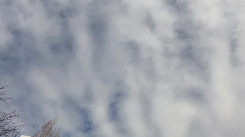 Seamless Loop Cloudy Sky Dramatic Timelapse Stock Footage 124118291