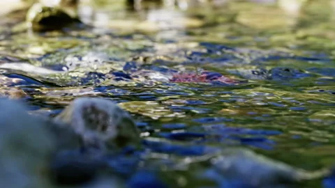 Seamless loop of colorful reflections on river water Stock Footage 345729175