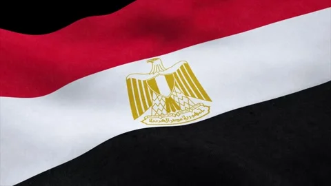 Seamless loop of the Egyptian flag waving in the wind animation Stock Footage 322994666