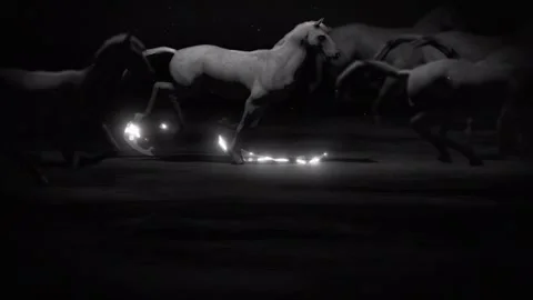 Seamless Loop: Ethereal Galloping Horses with Light Trails Stock Footage 333260279