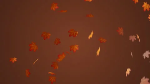 Seamless loop falling autumn maple leaves. Red, yellow, orange colors Stockbeeldmateriaal 164488474