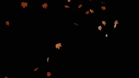 Seamless loop falling autumn maple leaves. Red, yellow, orange colors Stock Footage 164488712