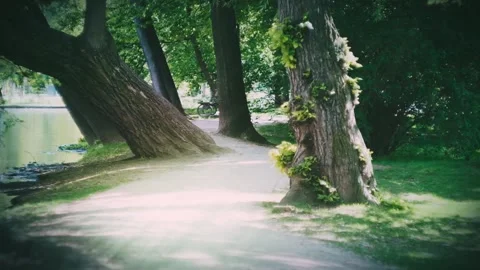 Seamless loop of a fantasy tolkenian path by a lake in the fairytale Stock Footage 133998724