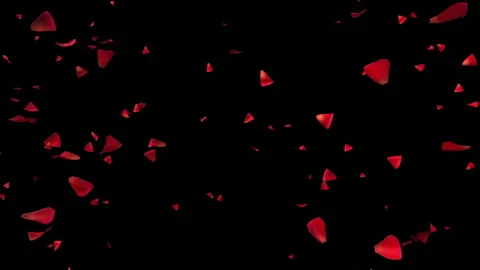 A Seamless loop footage of falling red rose petals with alpha channel. Stock Footage 183996603