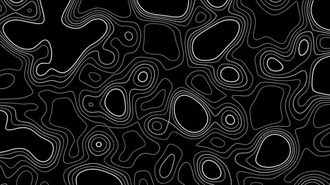 Seamless loop fractal lines background. Topographic map like abstract backdrop Stock Footage 226039876