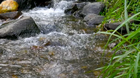 Seamless loop of fresh clear water flowing between river rocks Stock Footage 338237987