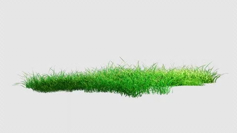 Seamless Loop of Fresh Grass Blowing on Transparent Background. Stock Footage 340374768