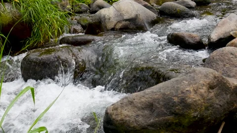 Seamless loop of fresh water flowing over mossy river rocks Video stock 338237852