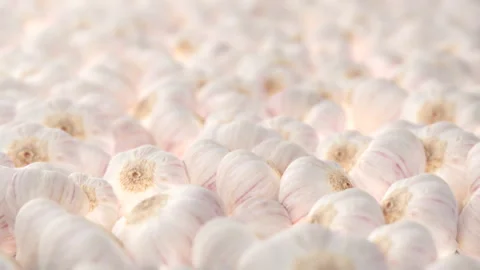 Seamless Loop of garlic. Smooth camera with bokeh. Stock Footage 239024505