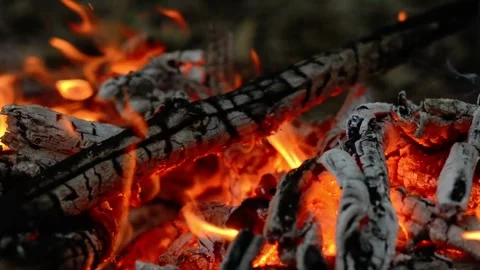 Seamless loop of glowing hot campfire charcoals and flickering flames Video stock 343216619