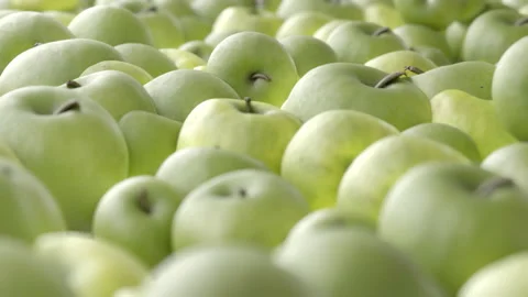 Seamless Loop of green apples. Smooth camera with bokeh. Stock Footage 239024639