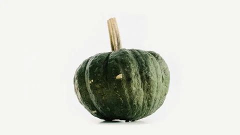  Seamless Loop of a Green Iron Cap Pumpkin Rotating on White Background Stockbeeldmateriaal 301715053