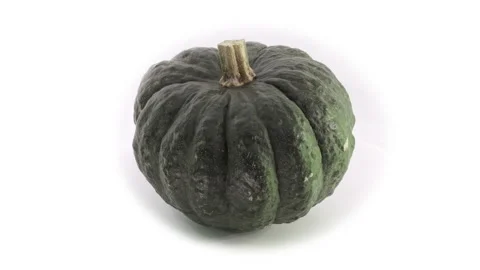 Seamless Loop of a Green Iron Cap Pumpkin Rotating on White Background Stock Footage 301715167