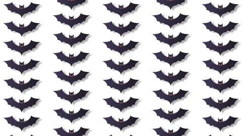 Seamless loop halloween background pattern of black paper bats flying on wh.. Stock Footage 345042619