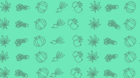 Seamless loop of hand drawn vegetables on chroma key green screen background 스톡 동영상 328565339