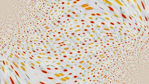 Seamless loop of  heighley detailed Citrus Fruits abstract patterns background Video stock 102565053